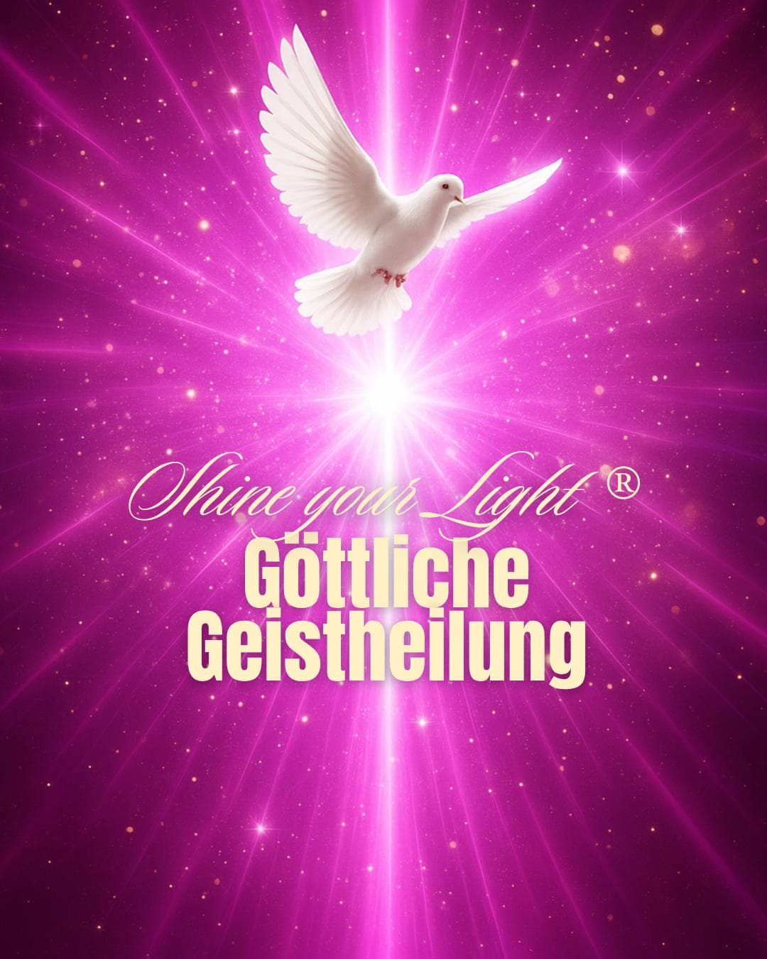 Shine your light® Geistheiler Gruppen Training